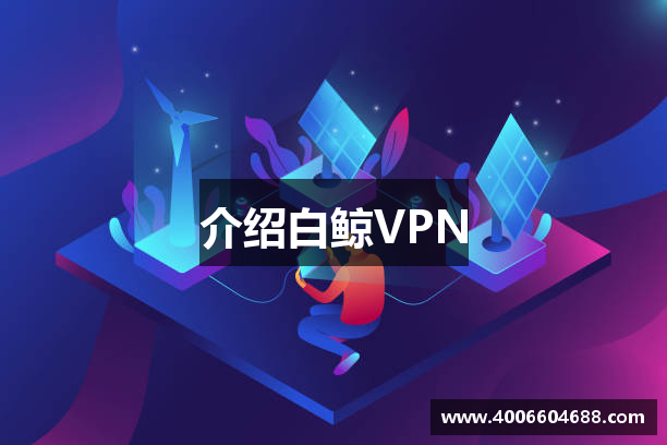 介绍白鲸VPN